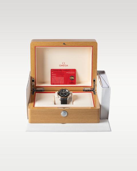 Omega Seamaster Diver 300m 210.22.42.20.01.002